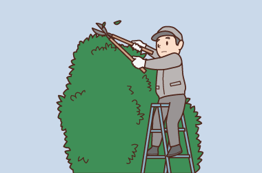 植木の剪定