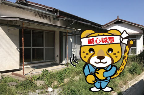 丁寧な作業を心がけるチータ―